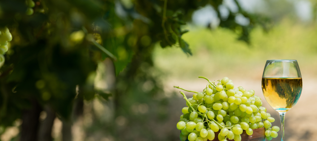 vino bianco da carne